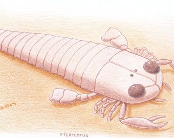 Pterygotus, Prehistoric Sea Scorpion