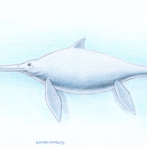Shonisaurus, Prehistoric Reptile, Extinct, Print