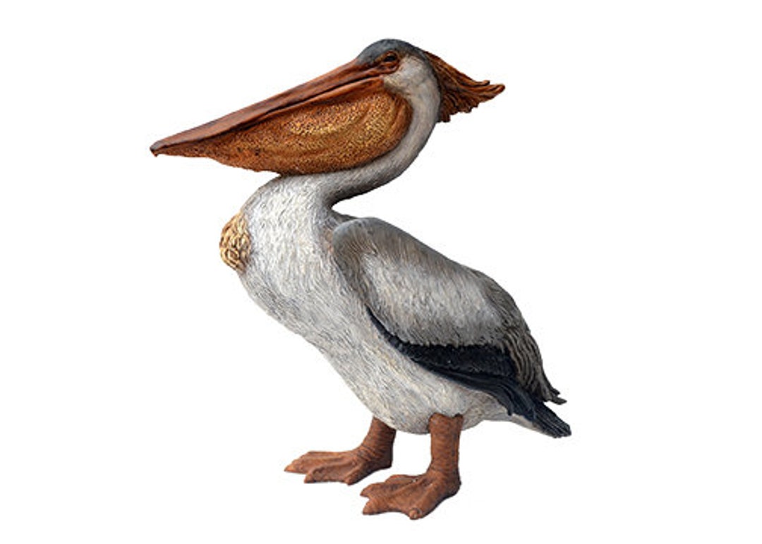 Pelican Garden Ornament Large Etsy