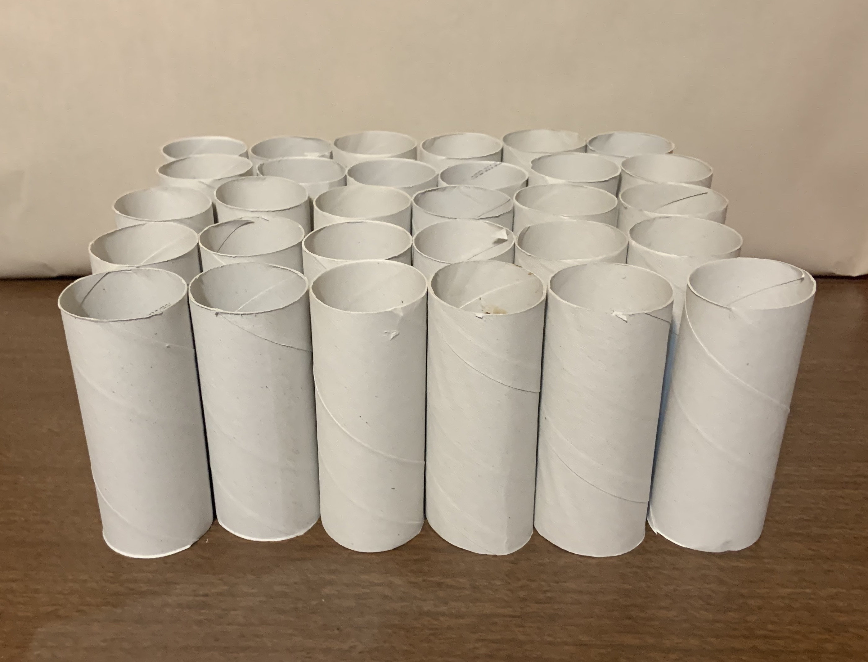 30 Toilet Paper Rolls Etsy