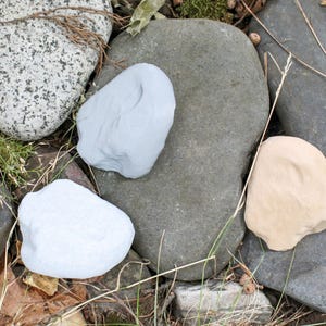 May include: A collection of smooth, gray, white, and beige stones. The stones are arranged on a bed of green moss and brown leaves.