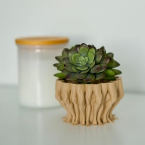 May include: A brown ceramic planter shaped like a group of legs holding a green succulent plant.