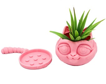 Maceta con forma de gato para plantas de interior y suculentas / 2 piezas