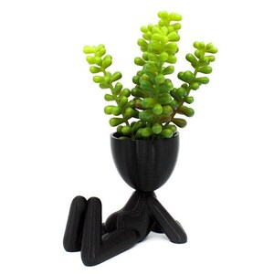 May include: Black planter shaped like a person lying down with a green succulent plant inside.