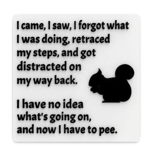 Funny Sign | I came, I saw, I forgot what I was Doing, I have Idea What&#39;s