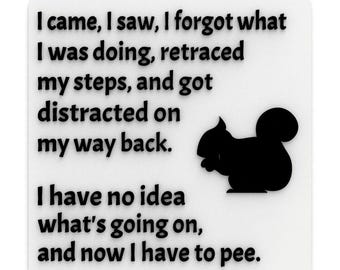 Funny Sign | I came, I saw, I forgot what I was Doing, I have Idea What&#39;s