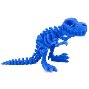 May include: A blue plastic dinosaur skeleton model. The model is posed in a standing position with its mouth open. The dinosaur has a long tail and a small head.