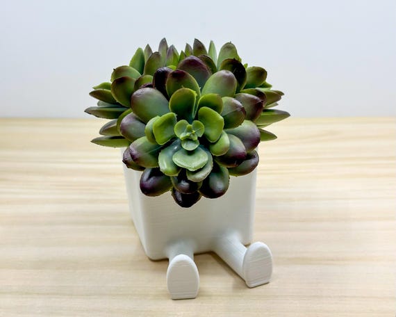 LEGGI 多肉植物とサボテンのプランターポットに座る - Etsy 日本