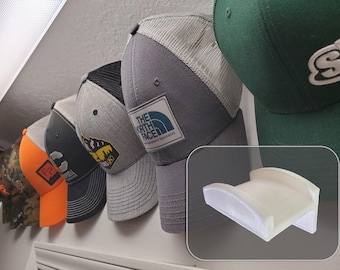 Organization