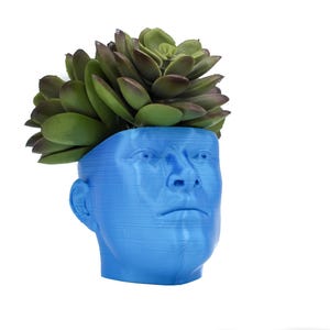 May include: A blue face-shaped plant pot with a succulent plant. The pot features a detailed human face design. The succulent has green and burgundy leaves, providing a contrast to the blue pot.