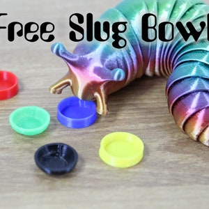 Fidget Slug AND BOWL Articulating Flexible Stim Toy image 2