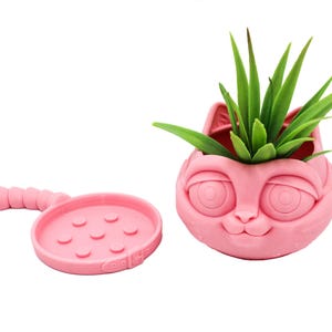May include: Pink cat-shaped planter with a removable tray and a small green succulent plant inside.