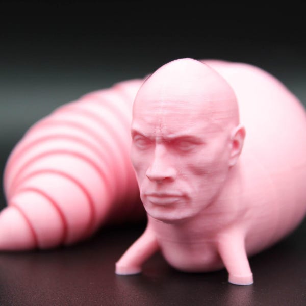 La babosa inquieta de roca