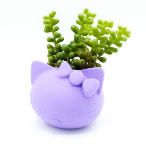 May include: A lavender-coloured ceramic planter shaped like a cartoon cat with a bow. The planter has a small succulent plant growing inside.