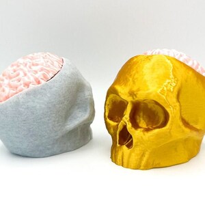 May include: Two 3D printed skull planters, one is gold and the other is gray. Both have a pink brain inside.