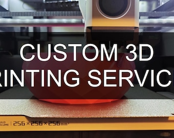 May include: A 3D printer in operation, with the text "CUSTOM 3D PRINTING SERVICES" in white. A red object is being printed. The build volume is 256 x 256 x 256 mm.