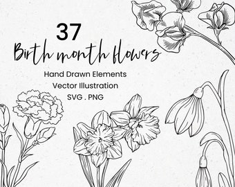 Geburt Monat Blumen, handgezeichnete Vektor-Illustrationen, botanische Kunst, Florale Linie Kunst, botanische Linie Kunst SVG, handgezeichnete Blumen Illustrator