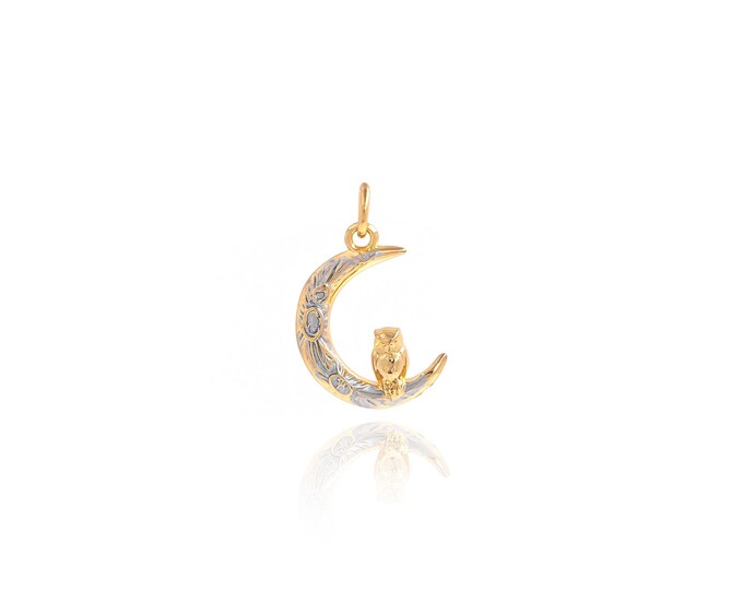 18K Gold Filled Moon Pendant,Moon Owl Pendant Charms,Owl Pendant Bracelet Necklace for DIY Jewelry Making Supply,20x13.5x2mm