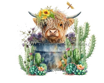 Highland Longhaired Cow in Metal Tub PNG with Cactus - Adorable Cow Clipart