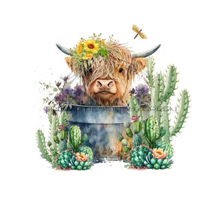 Vache à poil long Highland dans une baignoire en métal PNG avec cactus - Adorable vache Clipart