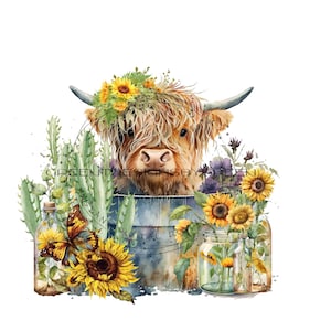 Highland longhaired cow PNG, cute cow sublimation, vintage metal tub PNG, cactus graphic, sunflower clipart, Highland calf PNG, farm Png