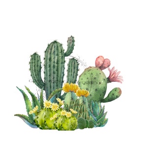 Flowering Desert Cactus Sublimation PNG - Southwestern Decor Clipart - Digital Download
