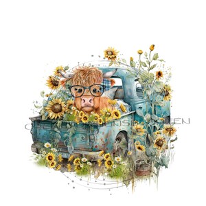 Highland long haired Cow PNG, cute cow sublimation, sunflower Png graphics,  Highland calf PNG digital download, Western PNG.