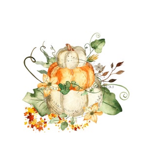 Fall Leaves Sublimation PNG - Autumn Season Clipart - Thanksgiving and Pumpkin Design - Digital Download