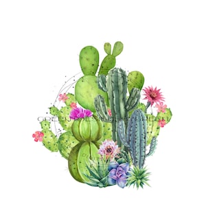 Flowering Desert Cacti Scene Sublimation PNG - Saguaro, Prickly Pear, Barrel Cactus & Succulents - Digital Download