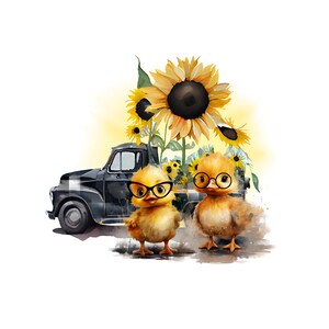 Dois pintinhos PNG clipart, sublimação de caminhão vintage, girassol PNG, gráfico de aquarela pintinho, arte de fazenda para impressão, ilustração de animais de fazenda.