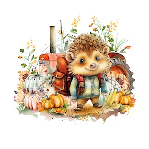 Cartoon Igel Herbst PNG - Vintage Ackerschlepper, Herbst Kürbisse, Wildblumen - Jeansjacke, Rucksack - Sublimationsdatei - Digitaler Download Bild 1