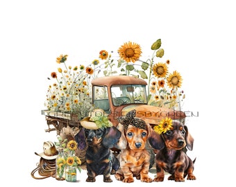 Dachshund PNG file, cute dog sublimation, vintage truck and sunflower PNG, Puppy clipart, Dog sublimation PNG.