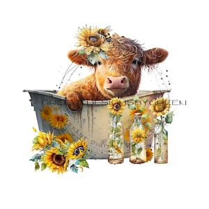 Highland longhaired Cow PNG, cute cow sublimation, metal tub PNG graphic,  calf clipart, Highland calf PNG digital download.