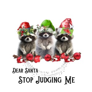 Clipart de Natal engraçado e fofo - "Querido Papai Noel, pare de me julgar" - Guaxinim e enfeites quebrados Sublimação PNG - Download digital