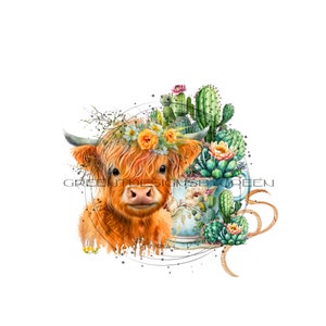 Long haired cow PNG, Highland cow PNG, Cow and teacup sublimation, vintage cactus PNG, Western clipart, calf sublimation
