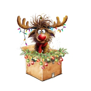 Op de afbeelding: Een illustratie van een rendier met een rode neus en sjaal, die uit een kartonnen doos komt. Het gewei is versierd met kleurrijke kerstverlichting. De doos is versierd met kerstballen en groen.
