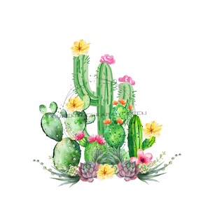 Sublimación de cactus en flor PNG - Imágenes prediseñadas del desierto - Descarga digital del tema del suroeste