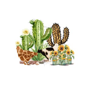 BoHo Girasoles, Tarros Mason, Cactus, Sublimación de Pollo PNG - Descarga Digital
