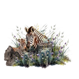 Brown Striped Zebra & Foal Clipart - Mother and Child Illustration - Wildflower Accents - Sublimation PNG - Instant Download