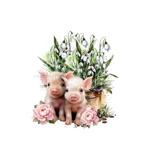 Entzückende Ferkel in der Metallwanne Sublimation PNG - Bauernhof Tier Badezeit Clipart - Digitaler Download