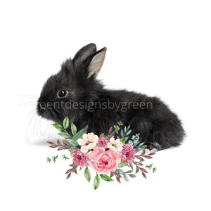 Entzückende schwarze Kaninchen mit rosa Blumen Sublimation PNG - Kaninchen Clipart - Digital Download