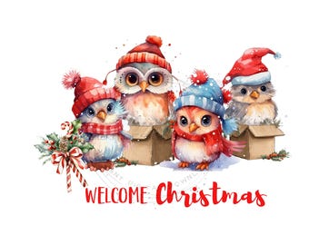 PNG Sublimation download with 4 winter Christmas owls-festive owls with winter Santa hat -holiday animal art for all your Christmas projects