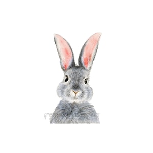 Kaninchen PNG, Clipart PNG, Osterhase PNG, Hase Sublimation, Hase Clipart, Frühling Png, Hase Png, Frühling Sublimation.
