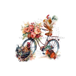 Pollo PNG per sublimazione, Bicicletta d'epoca PNG per sublimazione, Gallo rustico da fattoria PNG, Clipart di pollo PNG, Download digitale