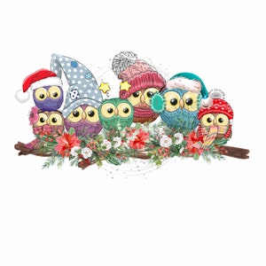 Hiboux de Noël mignons PNG - Hiboux portant des chapeaux d'hiver - Chapeaux de Père Noël - Accents de fleurs - Sublimation Clipart - Téléchargement numérique