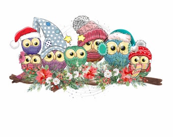 Cute Christmas Owls PNG - Owls wearing Winter Hats & Santa Hats - Flower Accents - Sublimation Clipart - Digital Download