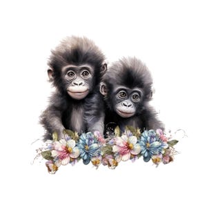 Imagem PNG de dois macacos chimpanzés pretos, clipart de flores silvestres, download digital de chimpanzé PNG, clipart de macaco, sublimação de macaco, sublimação de zoológico