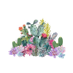 Watercolor Cactus PNG - Western Desert Botanical Clipart, Digital Download for Waterslides or Sublimation