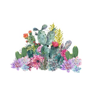 Acuarela Cactus PNG - Clipart Botánico del Desierto Occidental, Descarga Digital para Toboganes de Agua o Sublimación