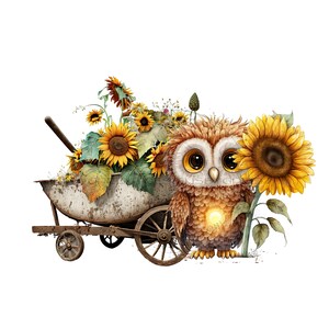Owl PNG, watercolor owl in wheel barrow sublimation, wildflower image, barn owl clipart, owl PNG digital download, owl PNG for sublimation